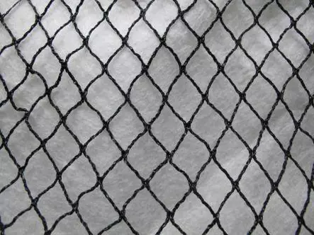 Lintuverkko Pro 6x50 m - Lintujen torjunta - 6430068433559 - 1