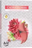 Tuoksulämpökynttilä Cactus Flower - Huonetuoksut, raikastimet - 5906927032269 - 1