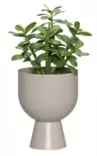 Ruukku Nala 16 cm vaaleanharmaa - Ruukut, vaasit, korit - 6410416443829 - 2
