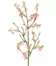 Kirsikka koristeoksa 74 cm - Askartelutarvikkeet - 6410416524559 - 1