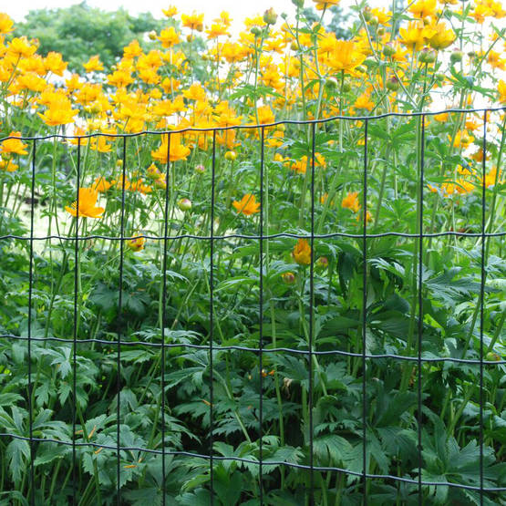 Puutarhaverkko musta 1,0x25 m - Aitaverkot - 6430040629529 - 1