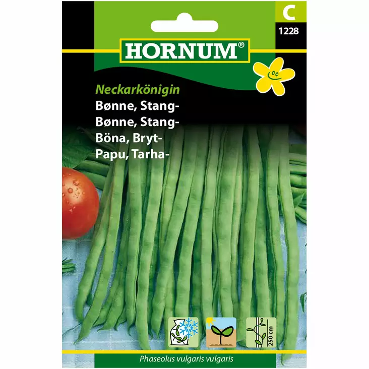 Tarhapapu ´Neckarkönigin´ - Siemenet ja siemenperunat - 5708787012289 - 1