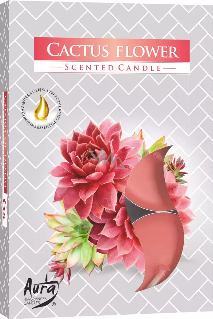 Tuoksulämpökynttilä Cactus Flower - Huonetuoksut, raikastimet - 5906927032269 - 1