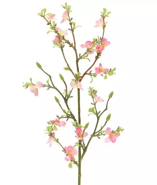 Kirsikka koristeoksa 74 cm - Askartelutarvikkeet - 6410416524559 - 1