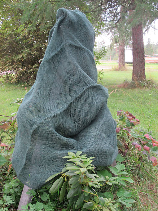 Juuttihuppu Ø70x98 cm vihreä - Varjostuskankaat - 6430040622759 - 1