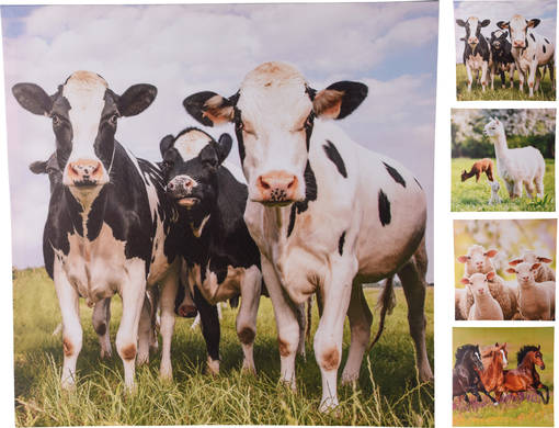 Canvas-taulu eläinprintillä - Maatila-aiheiset tuotteet - 8719987851599 - 1