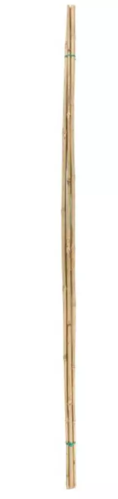 Kasvituki bambu 150 cm 5 kpl - Kasvien tuenta - 6410416335209 - 1