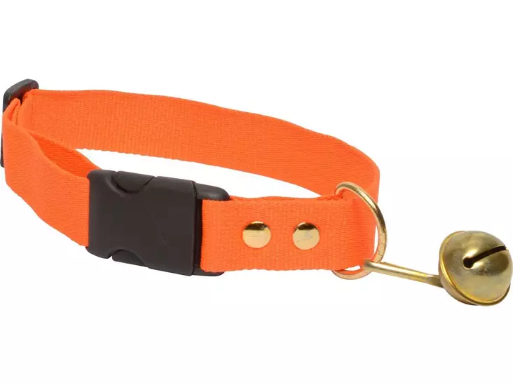 Koiran kaulapanta kellolla - Metsästyskoiratarvikkeet ja -tutkat - 8719493182699 - 2