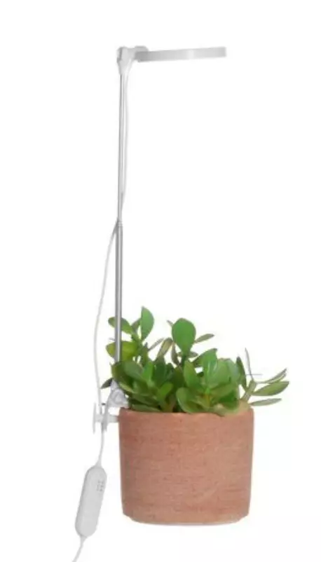 Led-kasvivalaisin - Taimikasvatus - 6410416429229 - 1