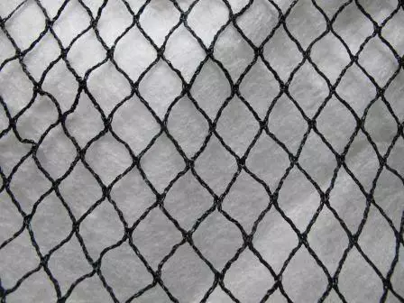 Lintuverkko Pro 6x50 m - Lintujen torjunta - 6430068433559 - 1