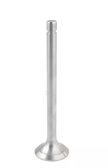 Pakoventtiili, sopii Belarus - Moottori - 8719607143769 - 1