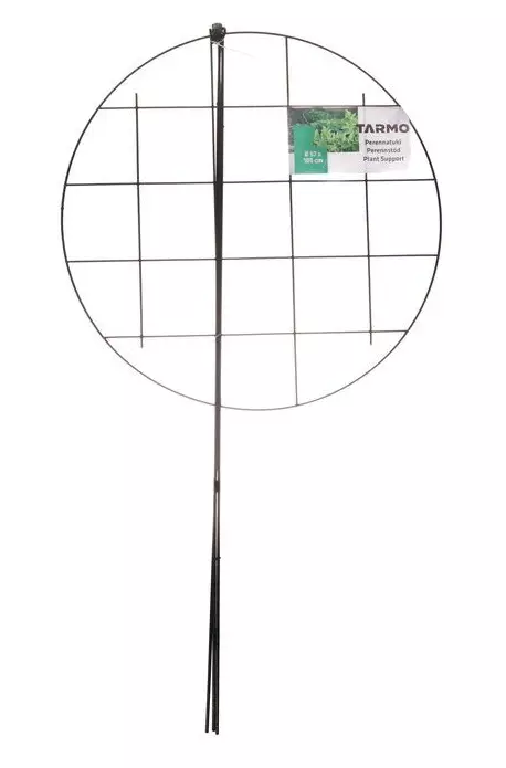 Perennatuki pyöreä ristikolla 57x105 cm - Kasvien tuenta - 6410412797469 - 1