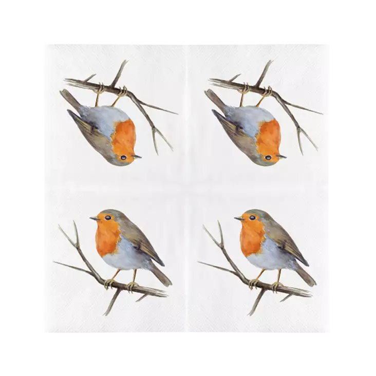 Punarinta servetit 20 kpl/pkt - Lintuaiheiset tuotteet - 8714982286469 - 1