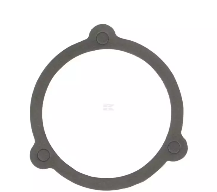 Ruiskutuspumpun tiiviste, sopii Belarus - Polttoainejärjestelmä - 8719607144469 - 1