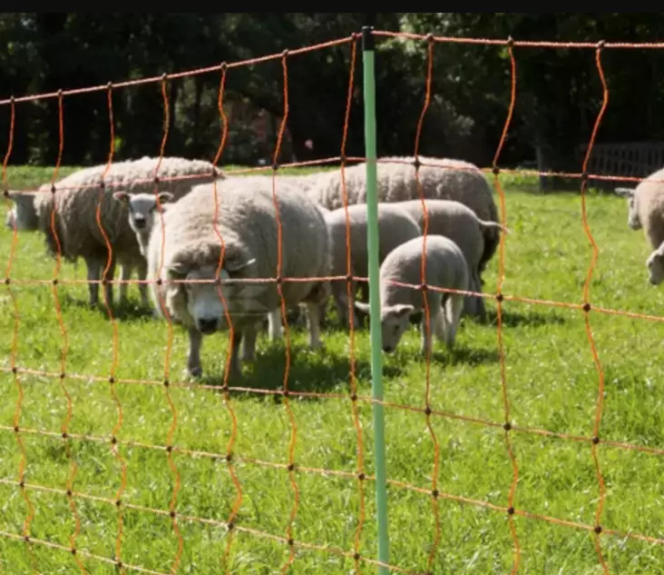 Sähköinen lammasverkko 90 cm 50 m/rll - Aitaverkot - 8719493482409 - 2