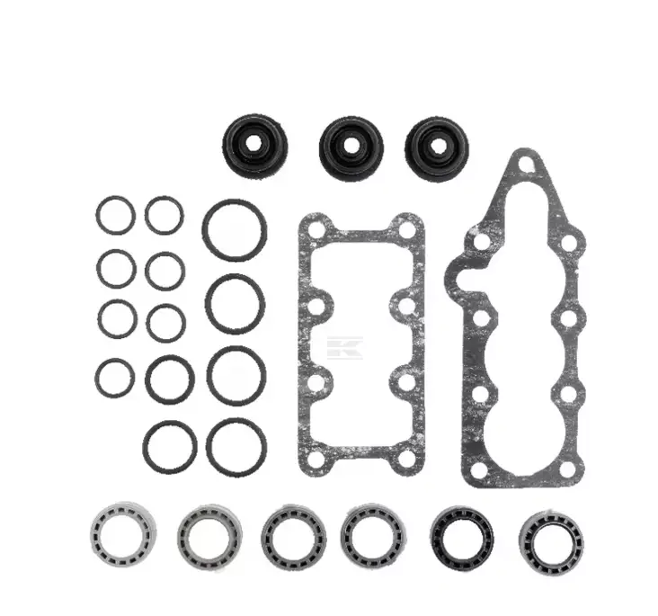 Tiivistesarja säätöventtiili - Moottori - 8719607142069 - 1