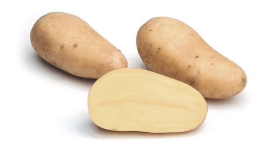 Siemenperuna Annabelle 5 kg - Siemenet ja siemenperunat - annabelle5kg - 1