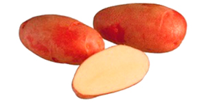 Siemenperuna Rosamunda 3 kg - Siemenet ja siemenperunat - rosamunda3kg - 1