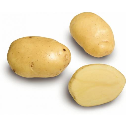 Siemenperuna Siikli 3 kg - Siemenet ja siemenperunat - siikli3kg - 1