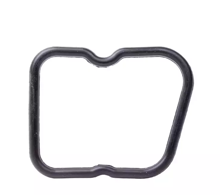 Venttiilikannen tiiviste, sopii CASE, NH - Moottori - 504053522N - 1